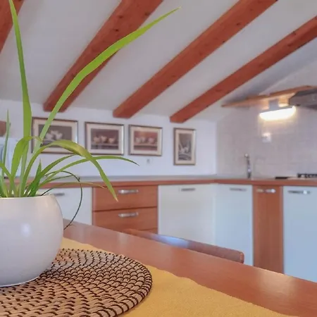 Apartment Studio Fur 2 Personen Ca 20 Qm In Novigrad, Istrien Istrische Riviera - B44573 *